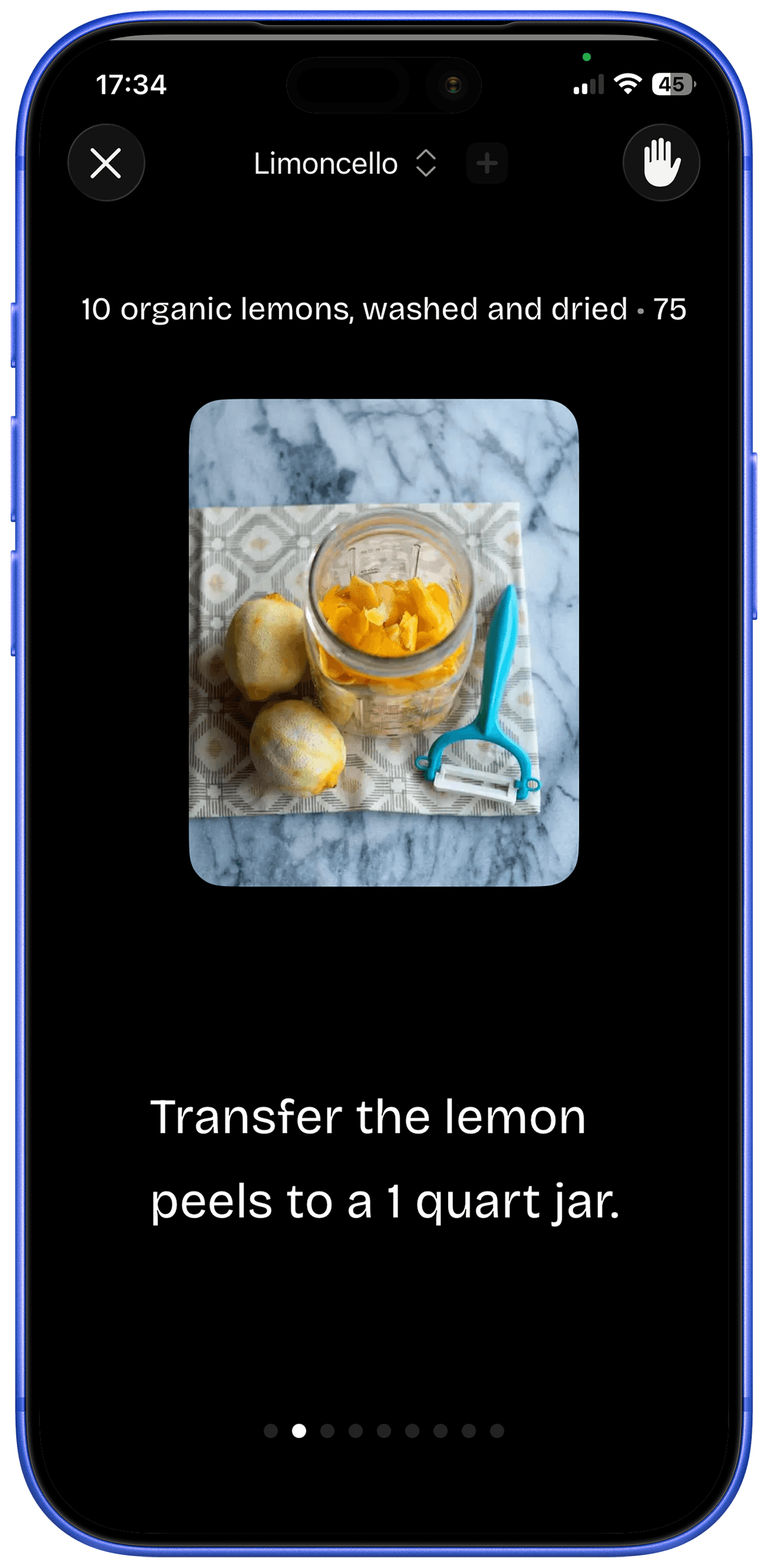 Voice assistant and gesture control interface